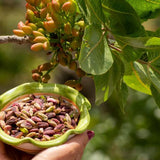 Pistacchio di bronte sgusciato